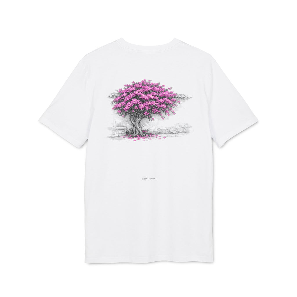 Bougainvillea