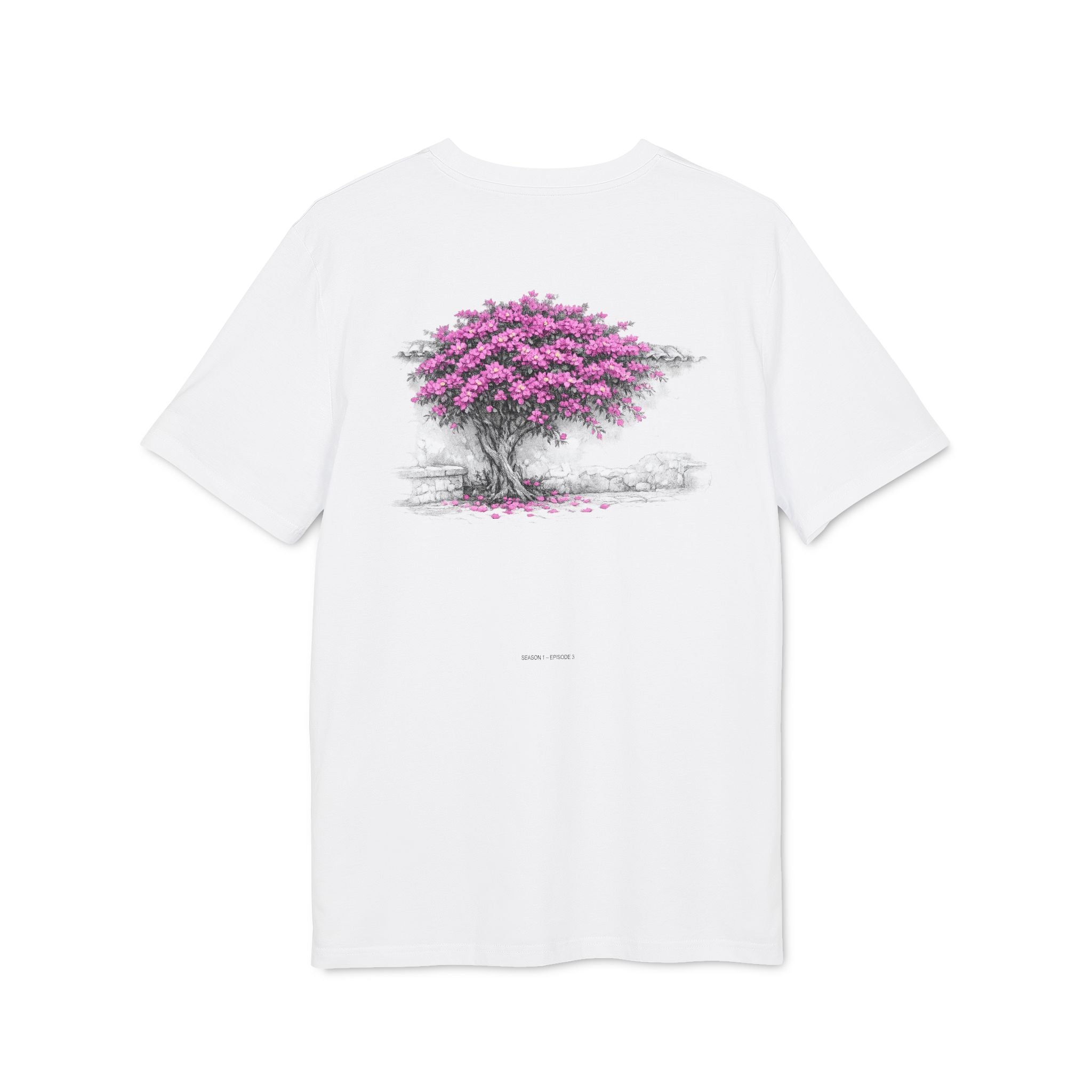Bougainvillea